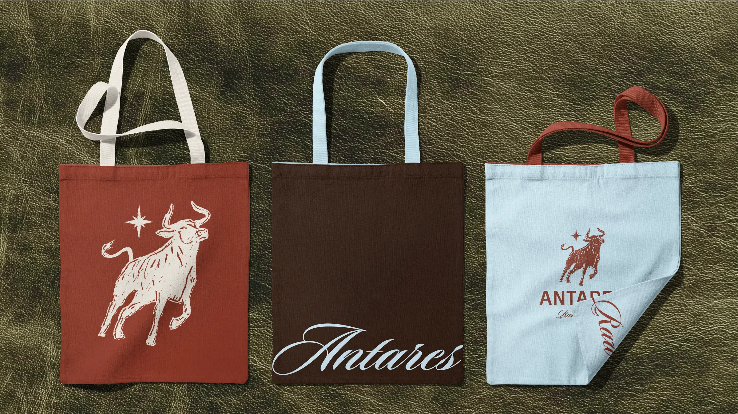 Zapato Antares con packaging — resultado final del sistema de identidad