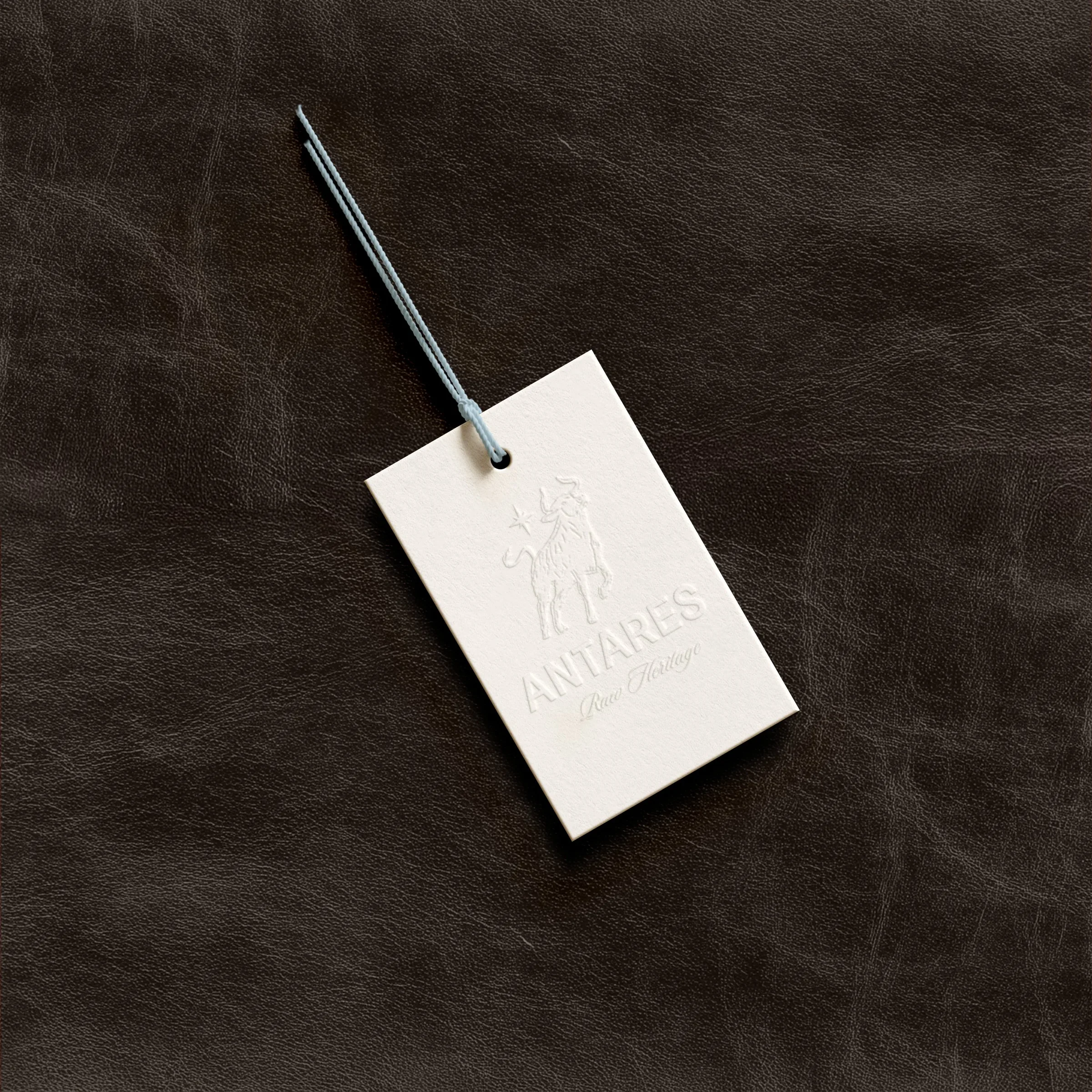 Tag de Antares — identidad aplicada al packaging